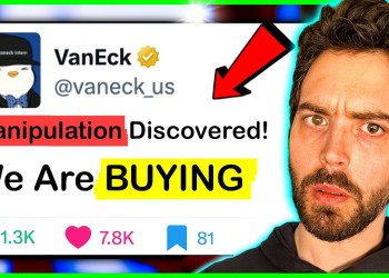 The Bitcoin Market is Being Manipulated! (Buy NOW) The Bitcoin Market is Being Manipulated! (Buy NOW)