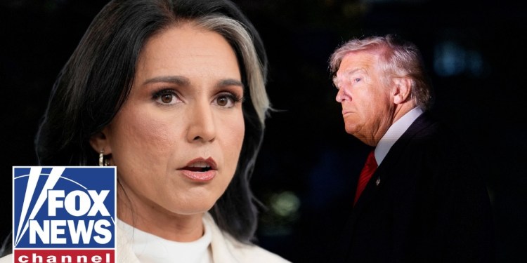Trump comments on Tulsi Gabbard departing his administration Trump comments on Tulsi Gabbard departing his administration