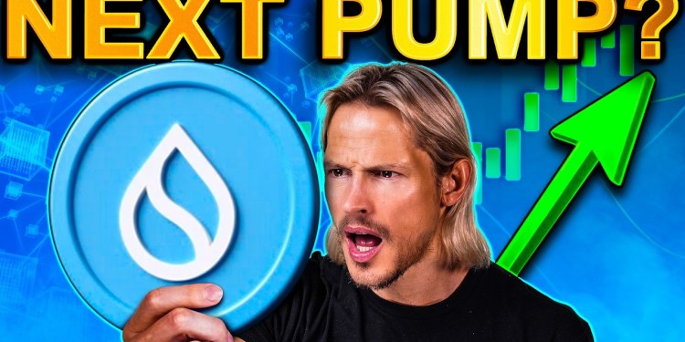 SUI 2025 Predictions You Can’t MISS! Top 10 Crypto Soon?! SUI 2025 Predictions You Can’t MISS! Top 10 Crypto Soon?!