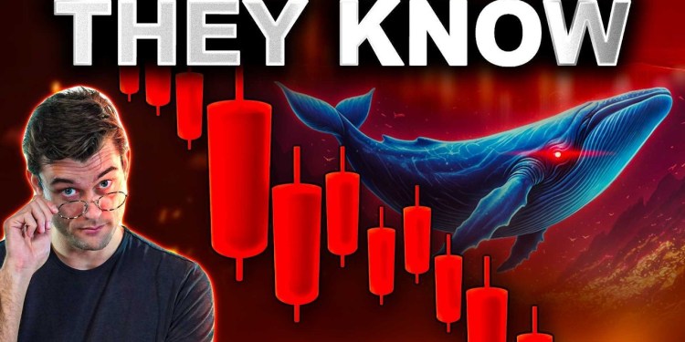 The Crypto Market Is RIGGED!? What You NEED To know!! The Crypto Market Is RIGGED!? What You NEED To know!!