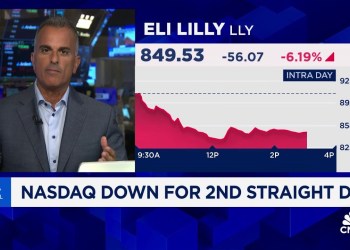 We’re in the early stages of a needed market correction, says Virtus’ Joe Terranova We’re in the early stages of a needed market correction, says Virtus’ Joe Terranova
