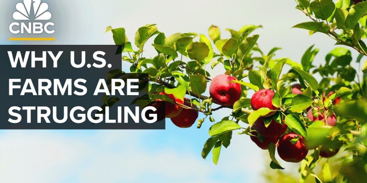 Why The U.S. Isn’t Growing Enough Food Why The U.S. Isn’t Growing Enough Food