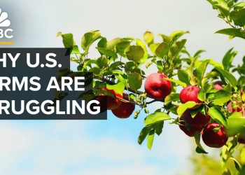 Why The U.S. Isn’t Growing Enough Food Why The U.S. Isn’t Growing Enough Food