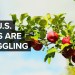 Why The U.S. Isn’t Growing Enough Food Why The U.S. Isn’t Growing Enough Food