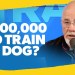 I’m 0,000 In Debt From My Dog-Training Business I’m 0,000 In Debt From My Dog-Training Business