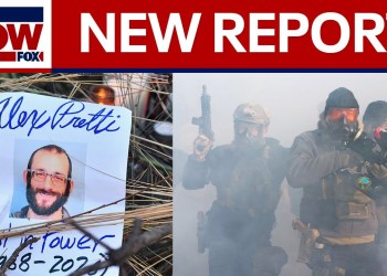 Alex Pretti shooting: 2 federal officers fired shots in Minneapolis, DHS report says Alex Pretti shooting: 2 federal officers fired shots in Minneapolis, DHS report says