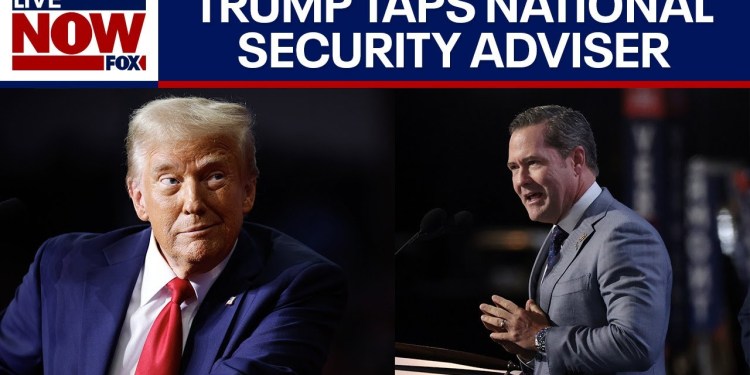Trump selects Mike Waltz as national security adviser | LiveNOW from FOX Trump selects Mike Waltz as national security adviser | LiveNOW from FOX