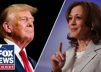 Kamala is still losing to Trump: Katie Pavlich Kamala is still losing to Trump: Katie Pavlich
