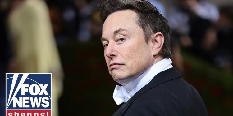 Elon Musk reveals shocking DOGE discoveries Elon Musk reveals shocking DOGE discoveries