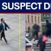 NYC shooting: Officer among several shot, suspect dead | LiveNOW from FOX NYC shooting: Officer among several shot, suspect dead | LiveNOW from FOX