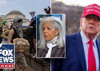 ‘Time to crack down’ on pro-Palestinian protesters, says NYC councilmember ‘Time to crack down’ on pro-Palestinian protesters, says NYC councilmember