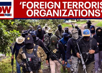 Drug cartels designated as foreign terrorist groups by U.S. | LiveNOW from FOX Drug cartels designated as foreign terrorist groups by U.S. | LiveNOW from FOX