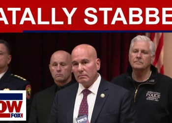 Illegal immigrant fatally stabbed 2 women in New York, police say Illegal immigrant fatally stabbed 2 women in New York, police say