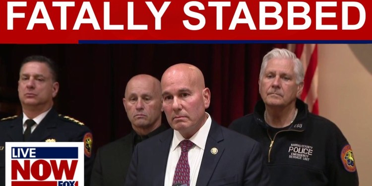 Illegal immigrant fatally stabbed 2 women in New York, police say Illegal immigrant fatally stabbed 2 women in New York, police say