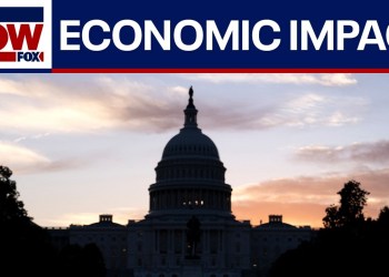 How does a government shutdown affect the economy? How does a government shutdown affect the economy?