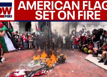 WATCH: American flags burned in protest of Netanyahu speech to Congress | LiveNOW from FOX WATCH: American flags burned in protest of Netanyahu speech to Congress | LiveNOW from FOX
