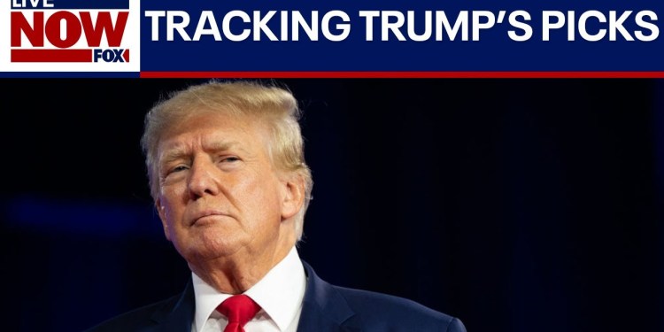 Trump names Chris Wright as energy secretary | LiveNOW from FOX Trump names Chris Wright as energy secretary | LiveNOW from FOX