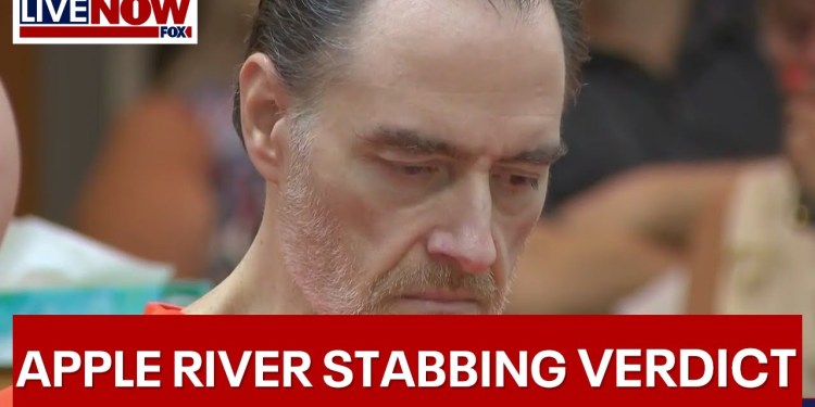 Apple River Stabbing: Nicolae Miu sentenced to 20 years in prison | LiveNOW from FOX Apple River Stabbing: Nicolae Miu sentenced to 20 years in prison | LiveNOW from FOX