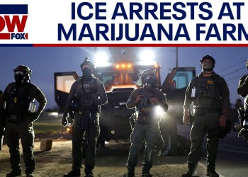 CA farm ICE raid: 200 arrested, children rescued from alleged forced labor, DHS says CA farm ICE raid: 200 arrested, children rescued from alleged forced labor, DHS says
