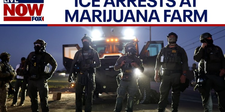 CA farm ICE raid: 200 arrested, children rescued from alleged forced labor, DHS says CA farm ICE raid: 200 arrested, children rescued from alleged forced labor, DHS says