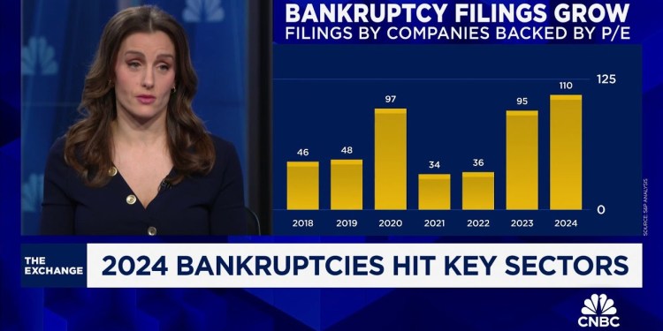 2024 bankruptcies hit key sectors 2024 bankruptcies hit key sectors