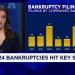 2024 bankruptcies hit key sectors 2024 bankruptcies hit key sectors