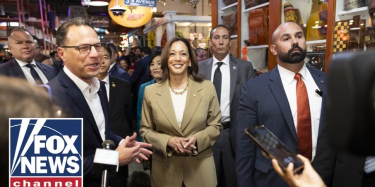 This is the challenge for potential Harris VP pick: Reporter This is the challenge for potential Harris VP pick: Reporter