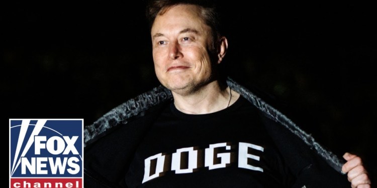 Court gives green light to Musk, DOGE on USAID cuts Court gives green light to Musk, DOGE on USAID cuts