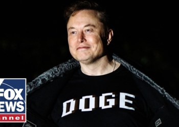 Court gives green light to Musk, DOGE on USAID cuts Court gives green light to Musk, DOGE on USAID cuts