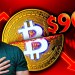 Bitcoin Crashes Below K! Is the Bull Run Dead? Bitcoin Crashes Below K! Is the Bull Run Dead?