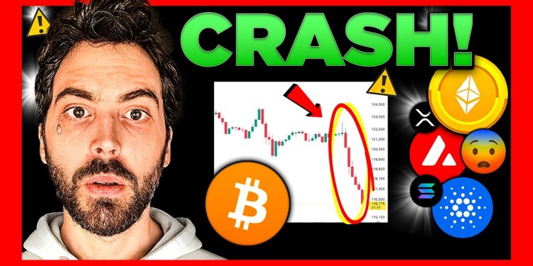 BIGGEST Cryptocurrency Market CRASH!! What Happens Next?? BIGGEST Cryptocurrency Market CRASH!! What Happens Next??