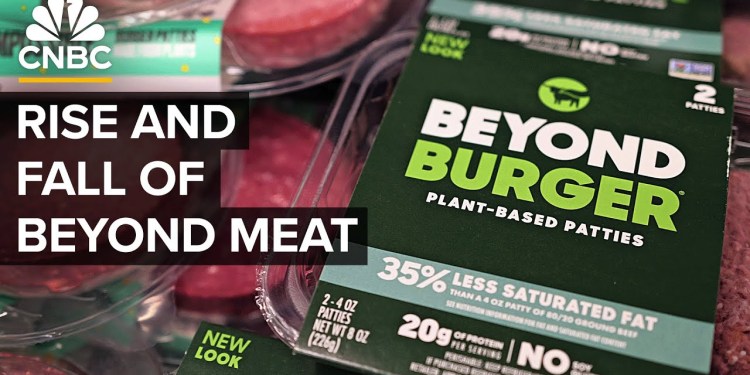 Why Beyond Meat and the plant-based meat industry couldn’t live up to the hype Why Beyond Meat and the plant-based meat industry couldn’t live up to the hype