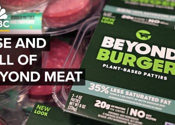 Why Beyond Meat and the plant-based meat industry couldn’t live up to the hype Why Beyond Meat and the plant-based meat industry couldn’t live up to the hype