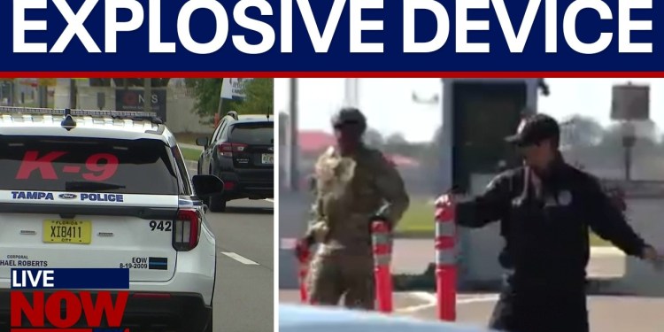 Macdill Air Force base explosive: Siblings charged after IED planted Macdill Air Force base explosive: Siblings charged after IED planted