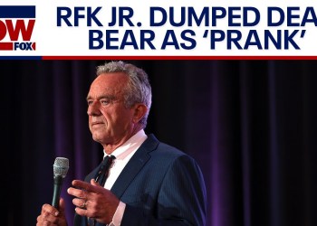 RFK Jr. admits to dumping dead bear cub in New York | LiveNOW from FOX RFK Jr. admits to dumping dead bear cub in New York | LiveNOW from FOX