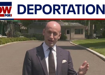 NEW: Stephen Miller on deportations and Trump immigration policy NEW: Stephen Miller on deportations and Trump immigration policy