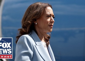 Amazon’s Alexa takes heat for ‘error’ praising Kamala Harris Amazon’s Alexa takes heat for ‘error’ praising Kamala Harris