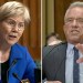Warren, RFK Jr get into SHOUTING match: ‘YOU SHOULD RESIGN’ Warren, RFK Jr get into SHOUTING match: ‘YOU SHOULD RESIGN’