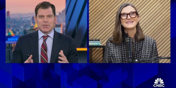 Cathie Wood’s big ideas of 2025: The most underappreciated application of AI is health care Cathie Wood’s big ideas of 2025: The most underappreciated application of AI is health care