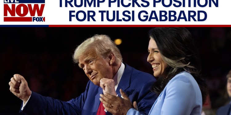 Trump cabinet: Tulsi Gabbard chosen as Director of National Intelligence | LiveNOW from FOX Trump cabinet: Tulsi Gabbard chosen as Director of National Intelligence | LiveNOW from FOX