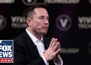 Musk says fed workers will get another chance to report productivity or be terminated Musk says fed workers will get another chance to report productivity or be terminated