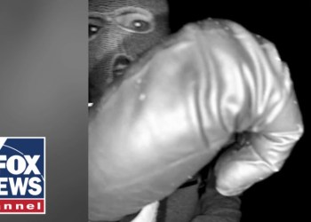 BREAKING: FBI says glove found with DNA appears to match gloves of suspect BREAKING: FBI says glove found with DNA appears to match gloves of suspect