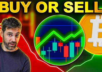 Top Crypto Indicators That Actually Work (Backed by Data!) Top Crypto Indicators That Actually Work (Backed by Data!)