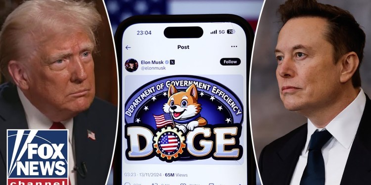 Trump reveals next directives for Musk, DOGE Trump reveals next directives for Musk, DOGE