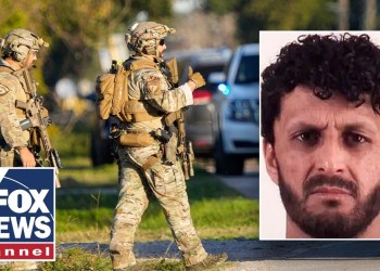 ‘This CAN’T go well’: Vet’s CHILLING warning after Afghan nationals charged ‘This CAN’T go well’: Vet’s CHILLING warning after Afghan nationals charged