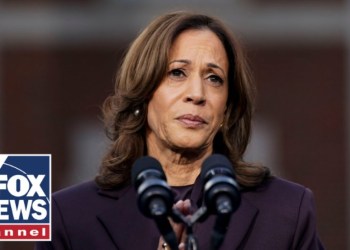 ‘BULLS—‘: Harris campaign blames bad questions for interview snafus ‘BULLS—‘: Harris campaign blames bad questions for interview snafus