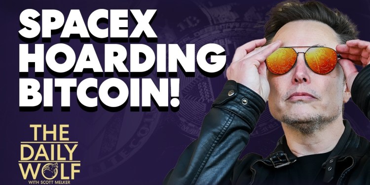 SpaceX secretly owns THIS much bitcoin?! SpaceX secretly owns THIS much bitcoin?!