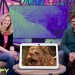 Help, I’m in an AI Slop Bubble! RIP Google Assistant, Hello Meow Wolf in NYC | Tech Therapy Ep. 5 Help, I’m in an AI Slop Bubble! RIP Google Assistant, Hello Meow Wolf in NYC | Tech Therapy Ep. 5