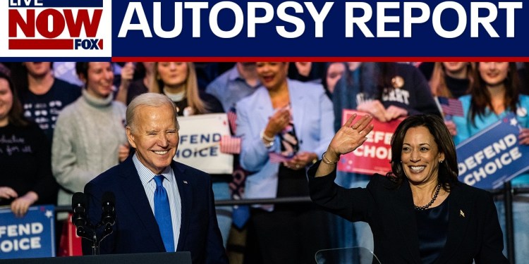 Democrats release long-awaited report about what went wrong in 2024 election, met with criticism Democrats release long-awaited report about what went wrong in 2024 election, met with criticism
