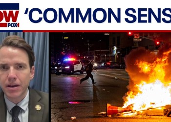 Anti-ICE protests: California GOP lawmaker condemns violence in Los Angeles Anti-ICE protests: California GOP lawmaker condemns violence in Los Angeles